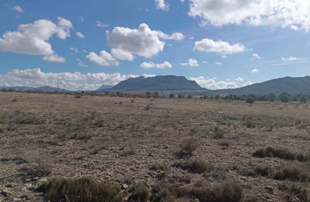 Resale - land -
Salinas - Salinas Centro