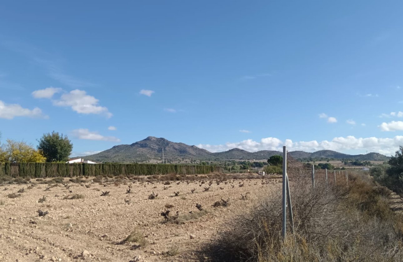 Resale - land -
Salinas - Salinas Centro