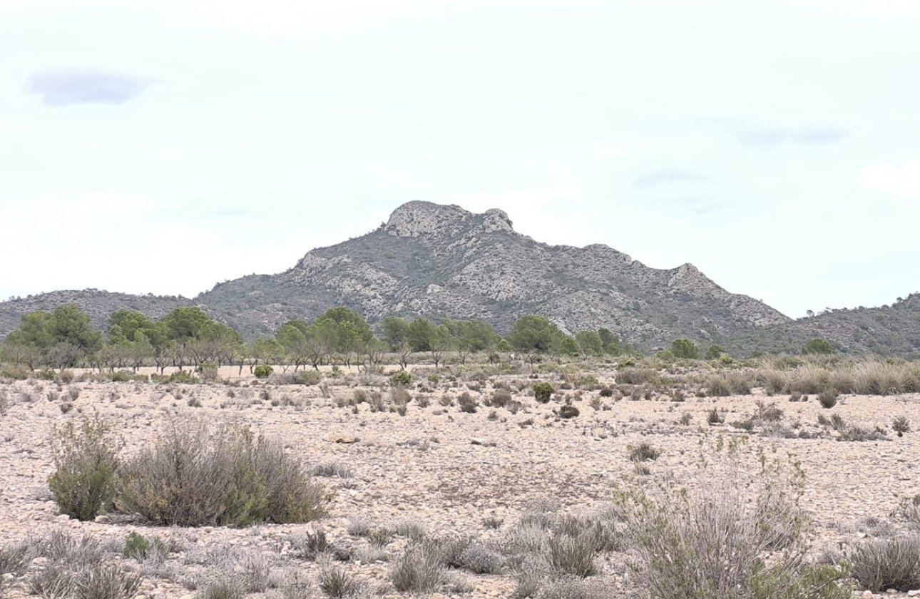 Resale - land -
Salinas - Salinas Centro