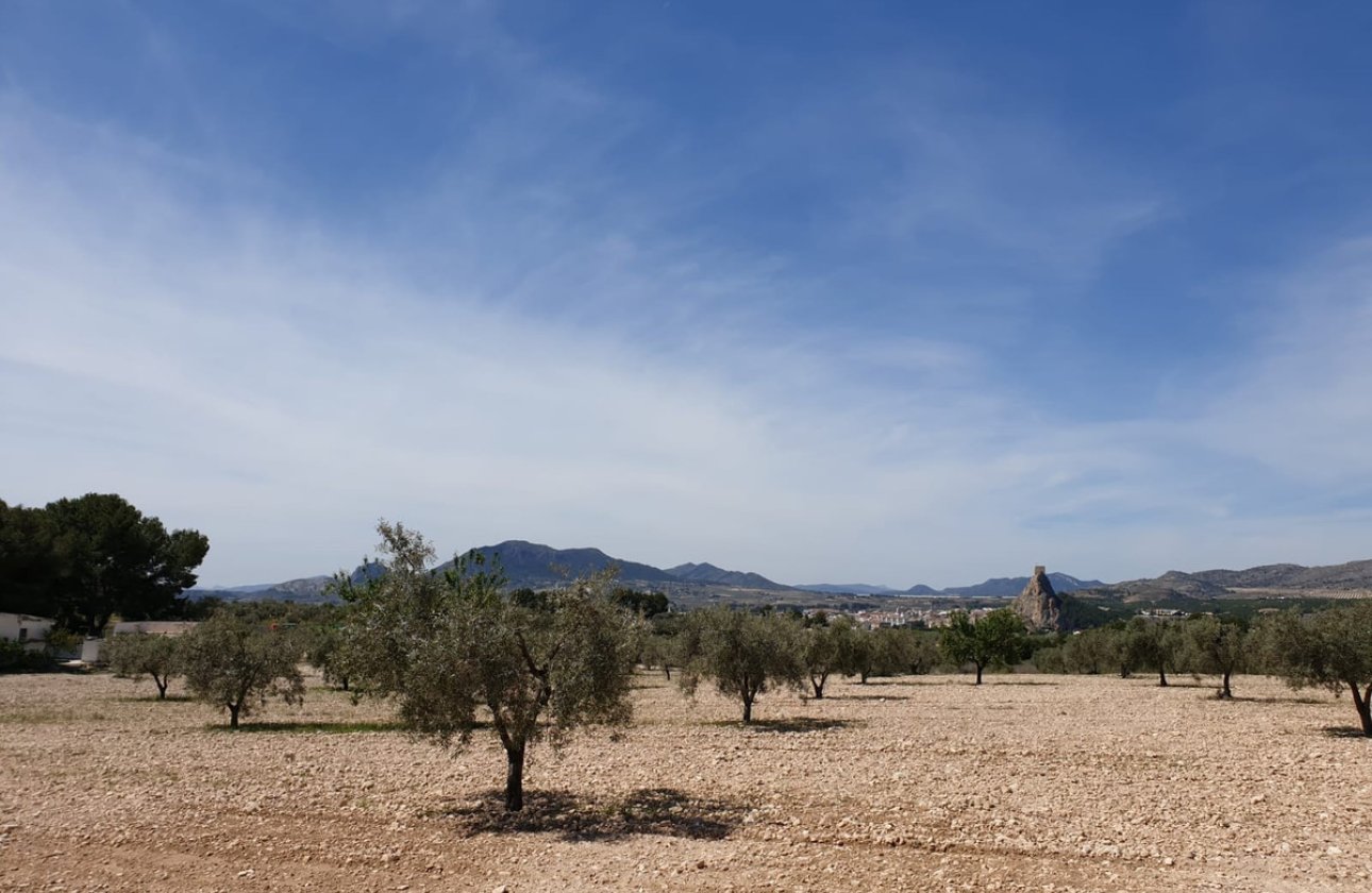 Resale - land -
Sax - Sax Centro