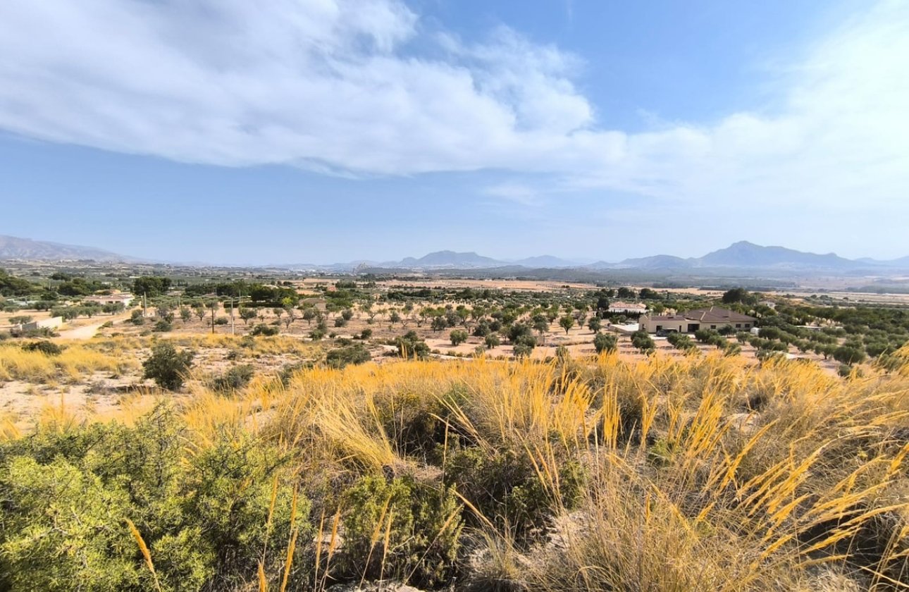 Resale - land -
Sax - Sax Centro