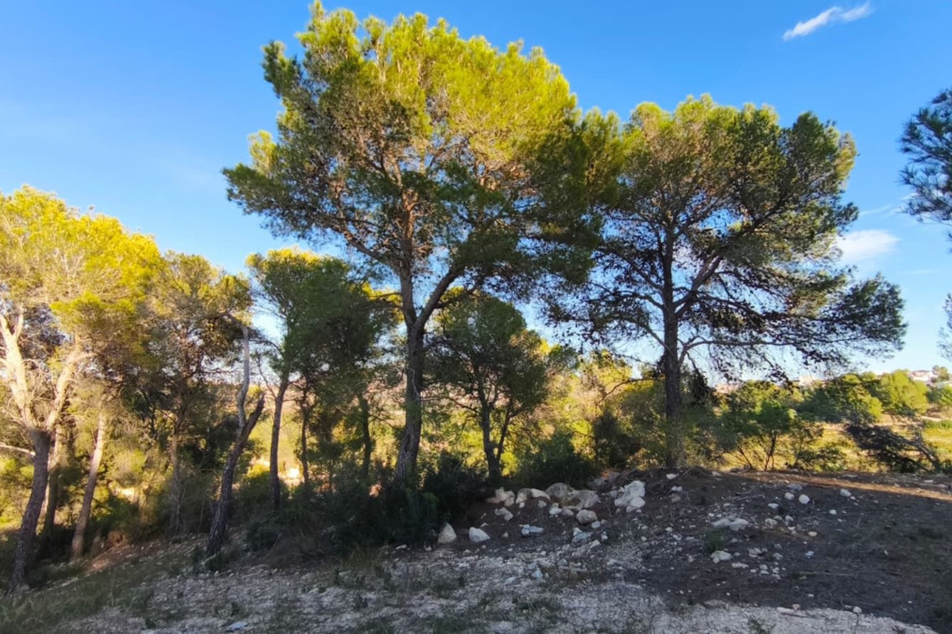 Resale - land -
Teulada - Teulada Centro