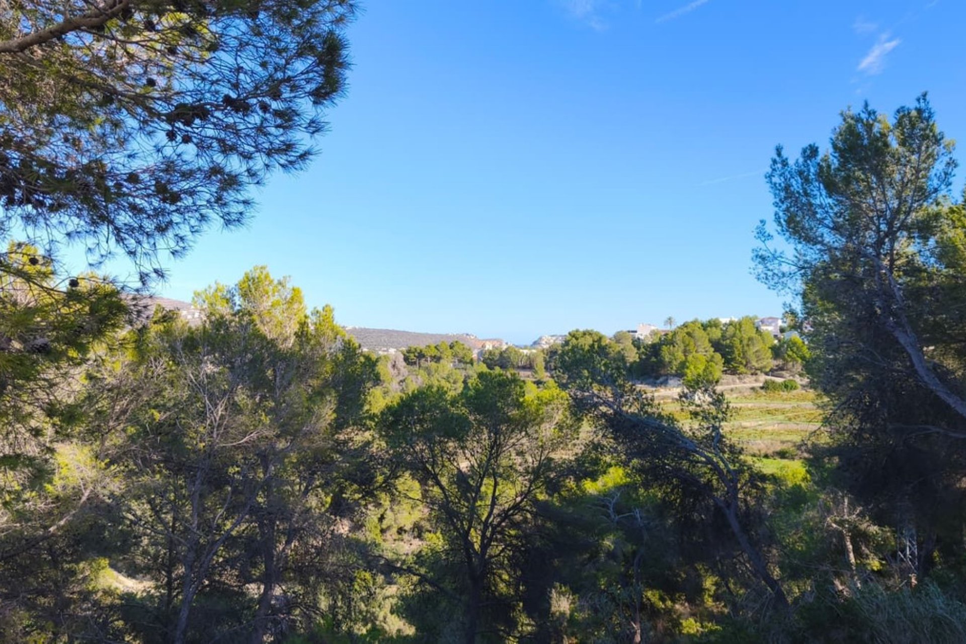 Resale - land -
Teulada - Teulada Centro