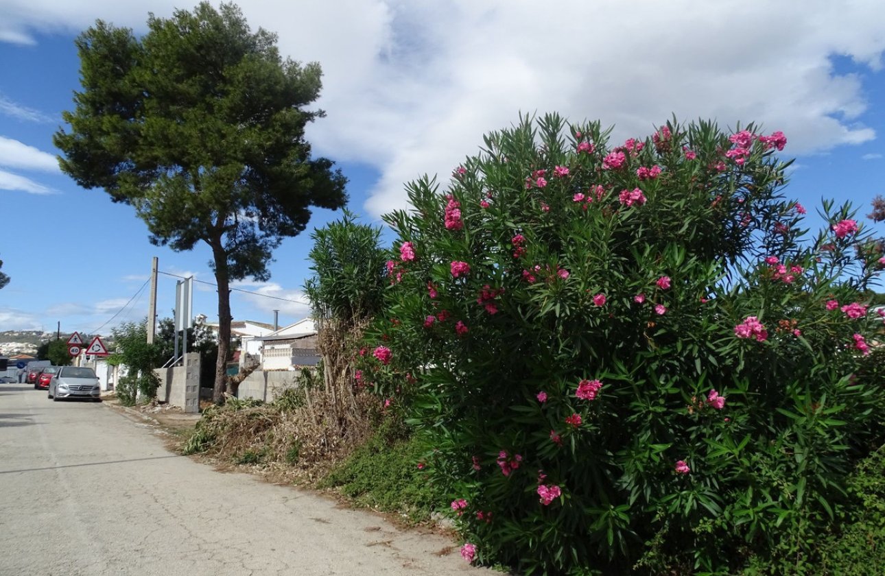 Resale - land -
Teulada - Teulada Centro
