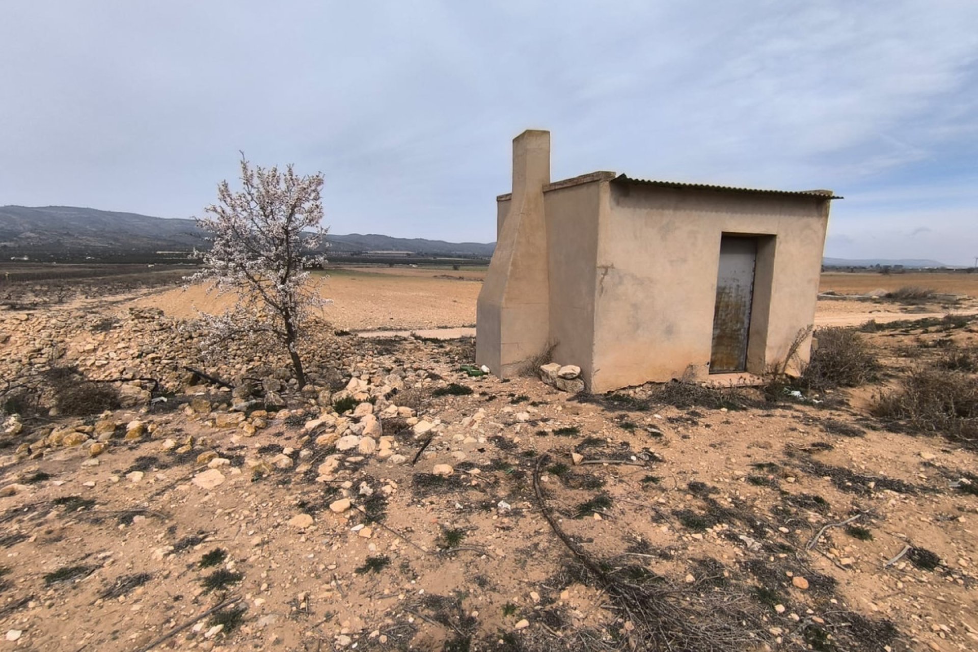 Resale - land -
Villena - Villena Centro