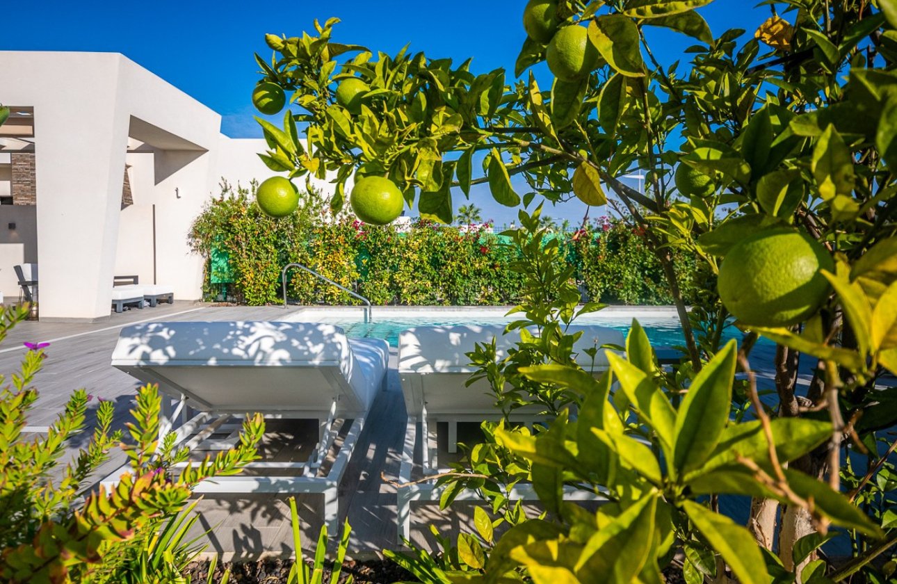 Resale - Villa -
Algorfa - Algorfa Centro