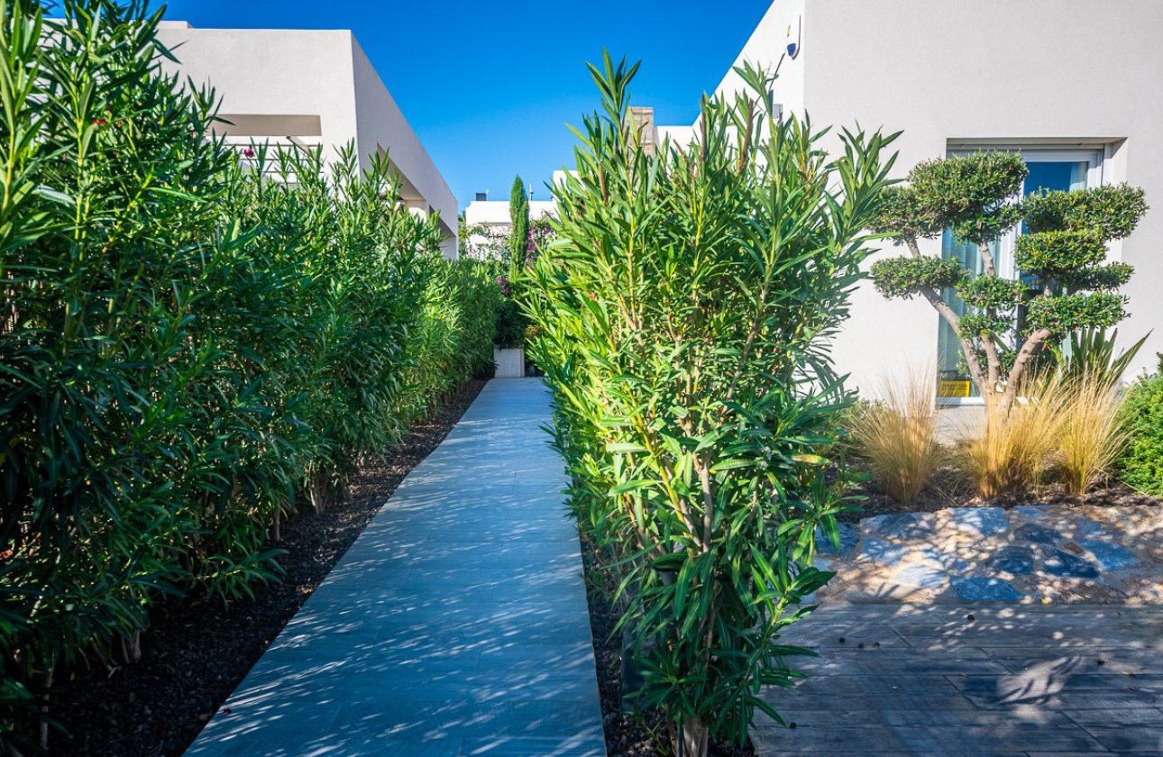 Resale - Villa -
Algorfa - Algorfa Centro