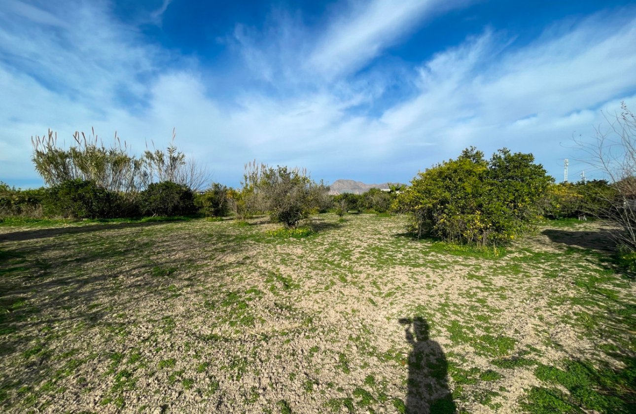 Resale - Villa -
Benejúzar - Benejuzar Centro