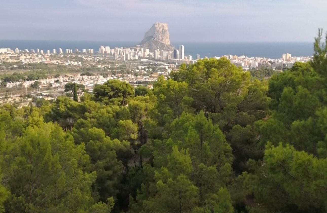 Resale - Villa -
Calpe - Calpe Centro