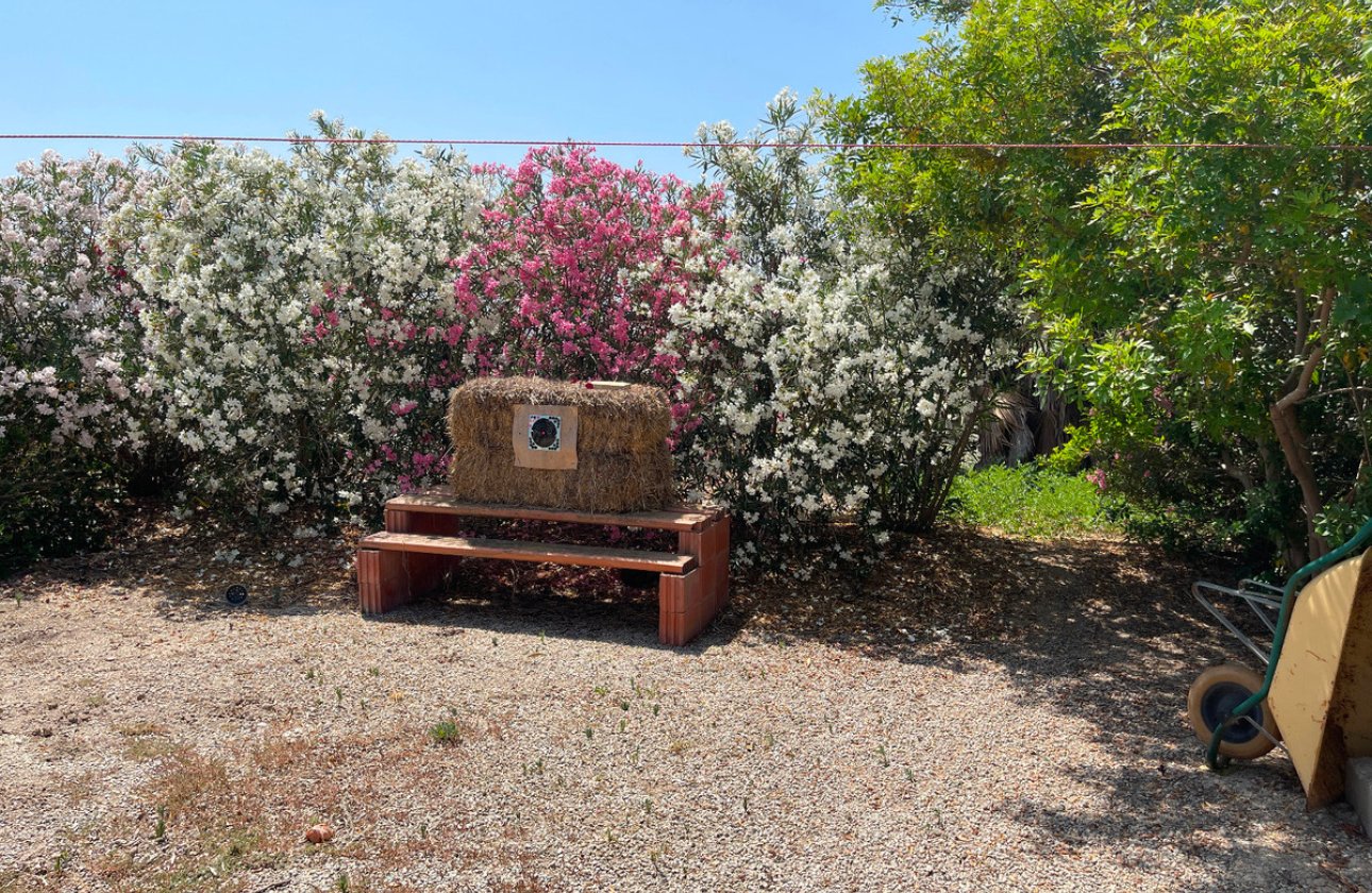 Resale - Villa -
Daya Nueva - Daya Nueva Centro