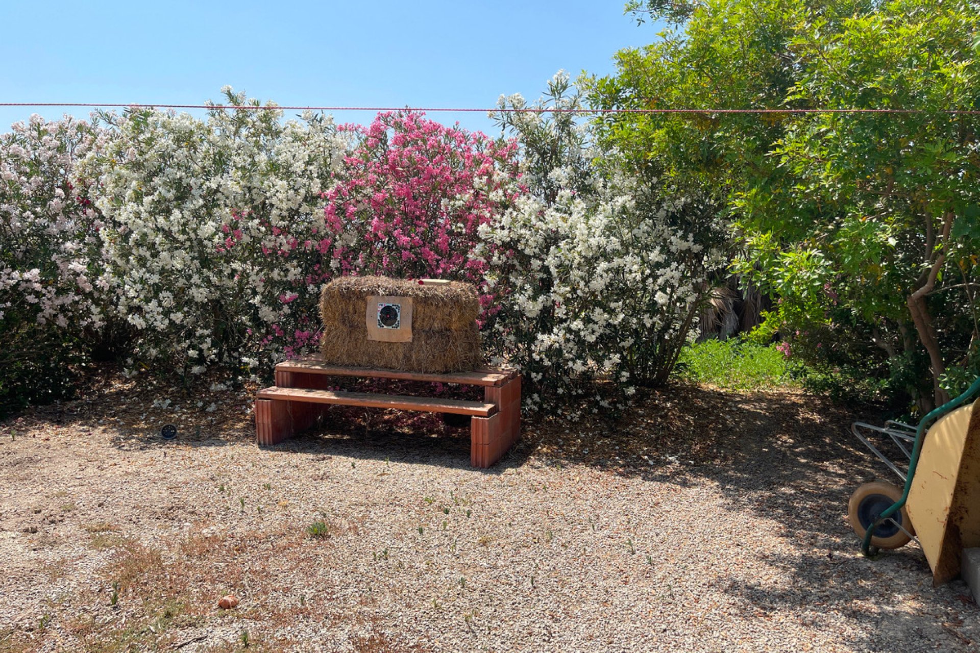 Resale - Villa -
Daya Nueva - Daya Nueva Centro