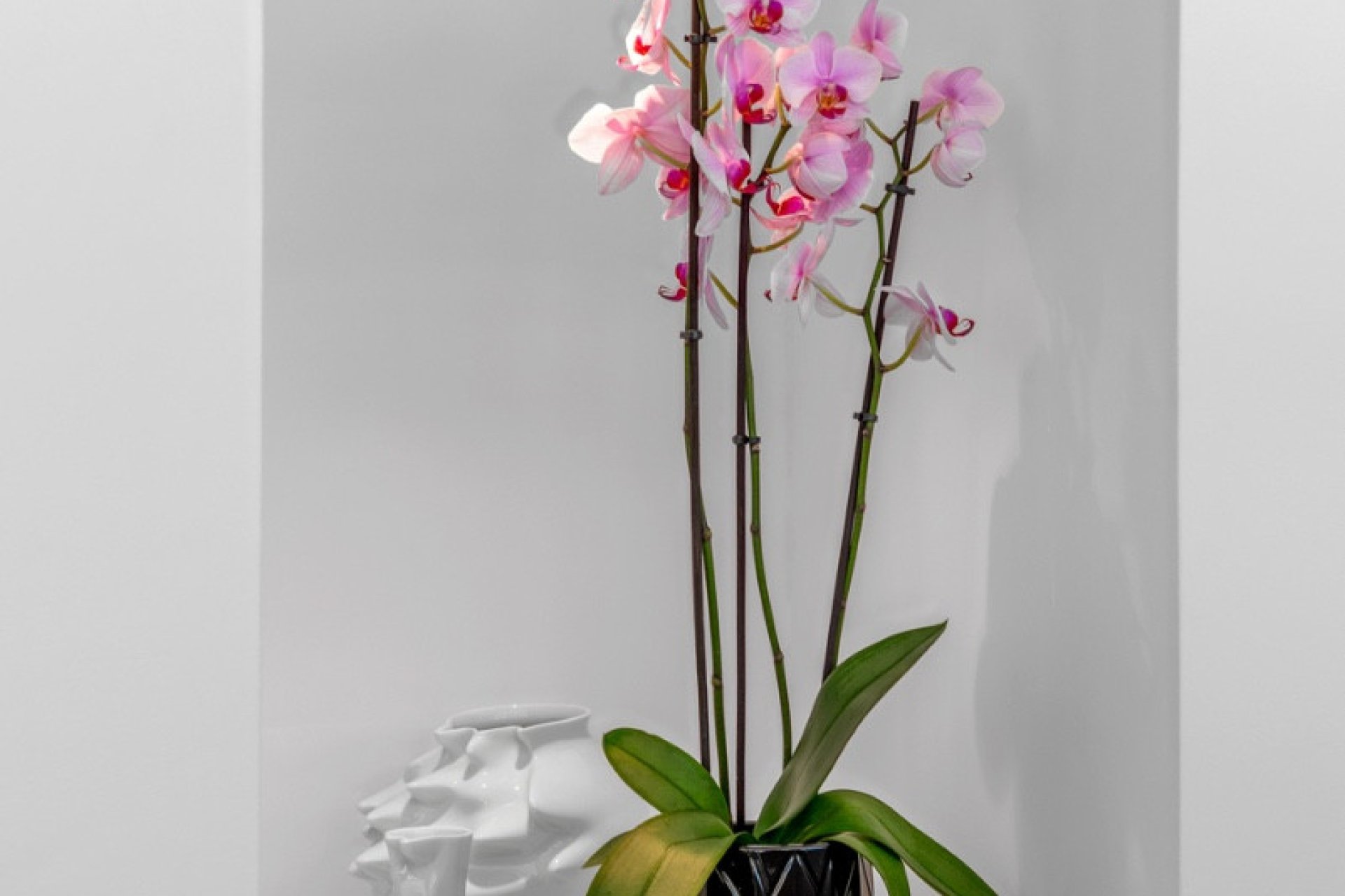 Resale - Villa -
Guardamar del Segura - Guardamar del Segura Centro