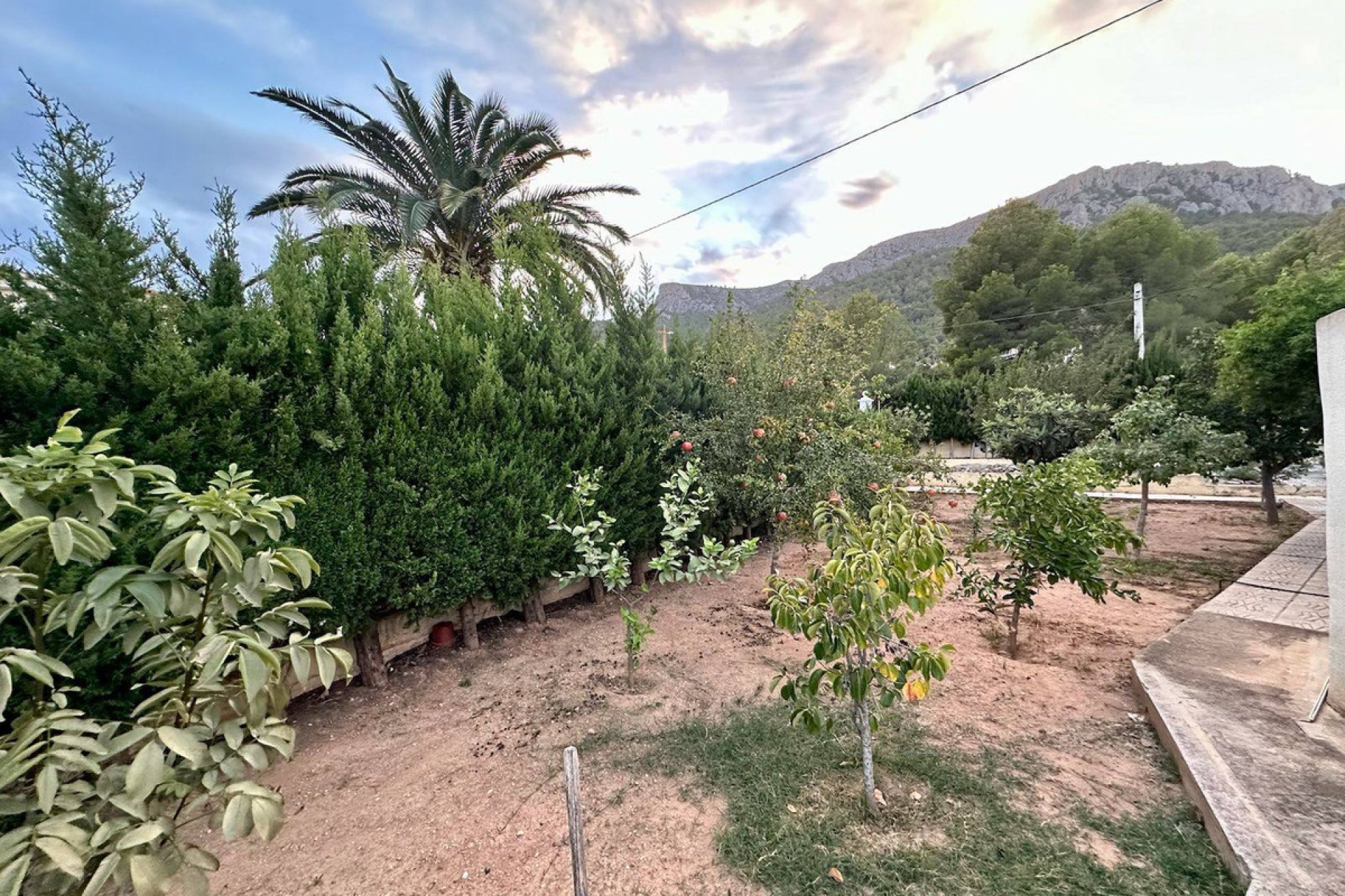 Resale - Villa -
Novelda - Estación