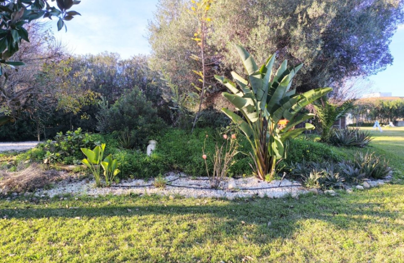 Resale - Villa -
Ondara - Ondara Centro