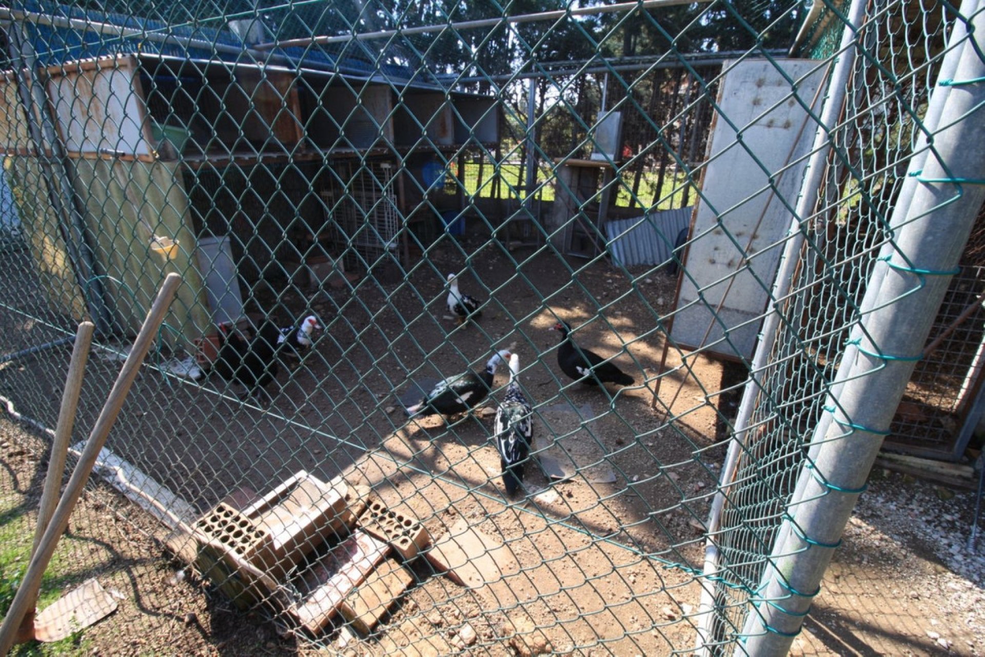 Resale - Villa -
Orihuela - Orihuela Costa