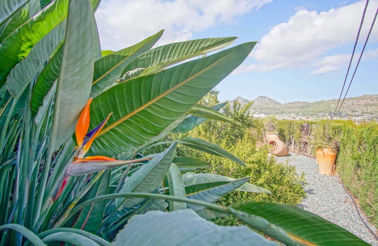 Resale - Villa -
Pedreguer - Pedreguer Centro