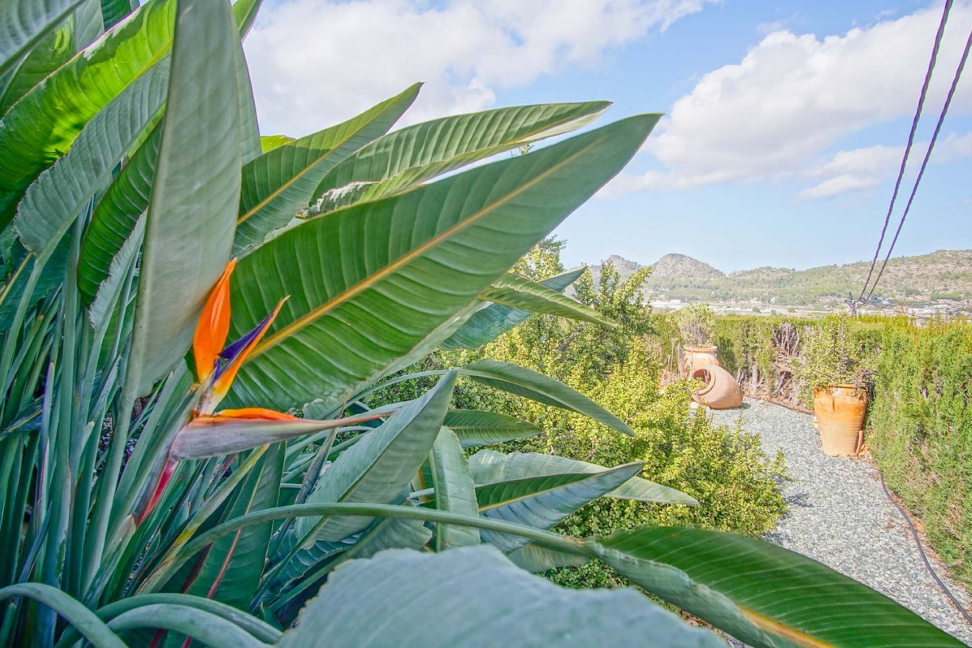 Resale - Villa -
Pedreguer - Pedreguer Centro