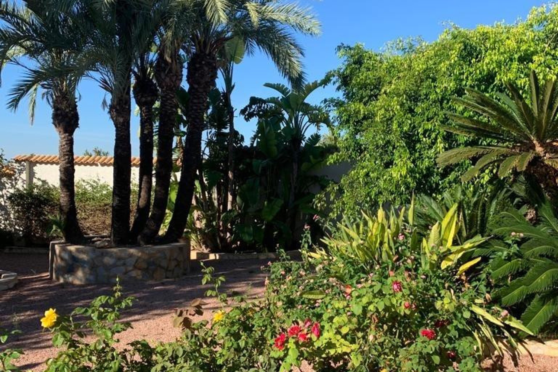 Resale - Villa -
Rojales - Ciudad Quesada