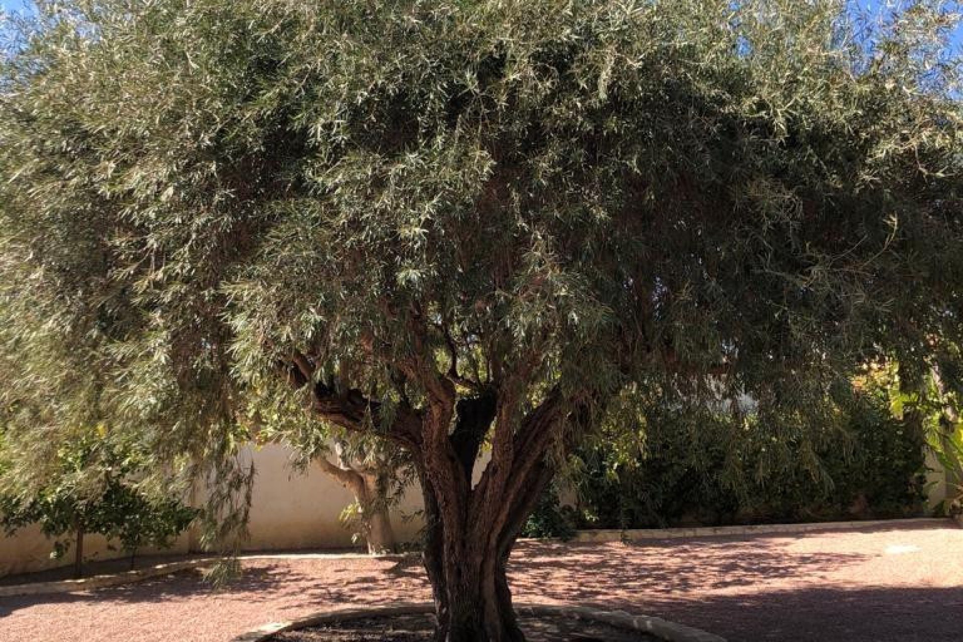 Resale - Villa -
Rojales - Ciudad Quesada