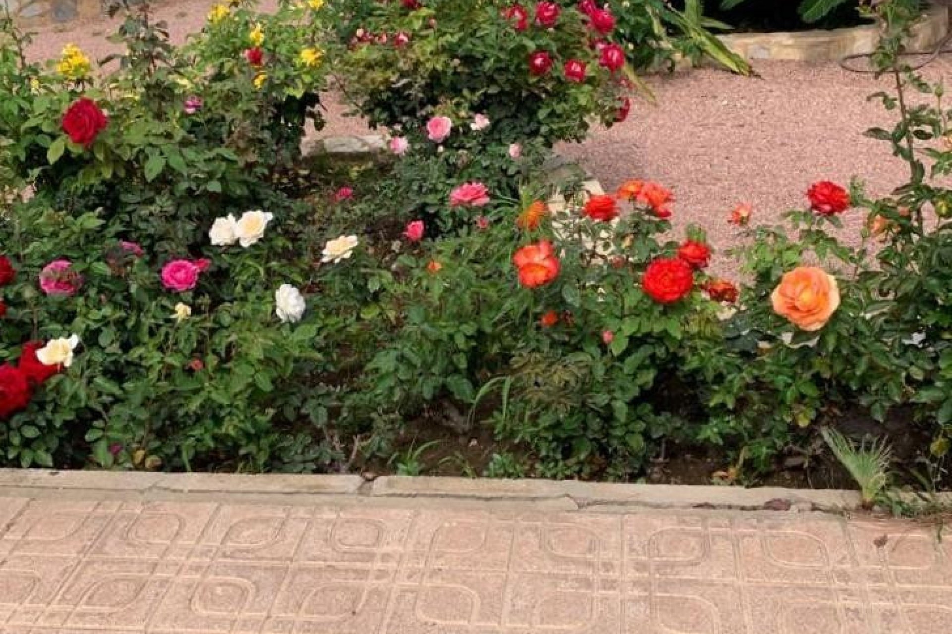 Resale - Villa -
Rojales - Ciudad Quesada