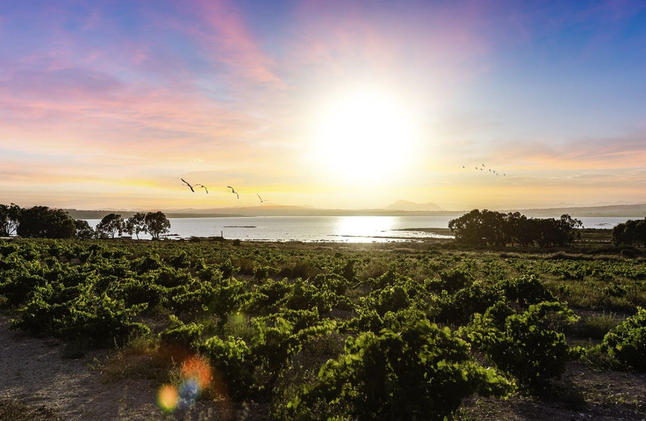 Resale - Villa -
Rojales - Ciudad Quesada