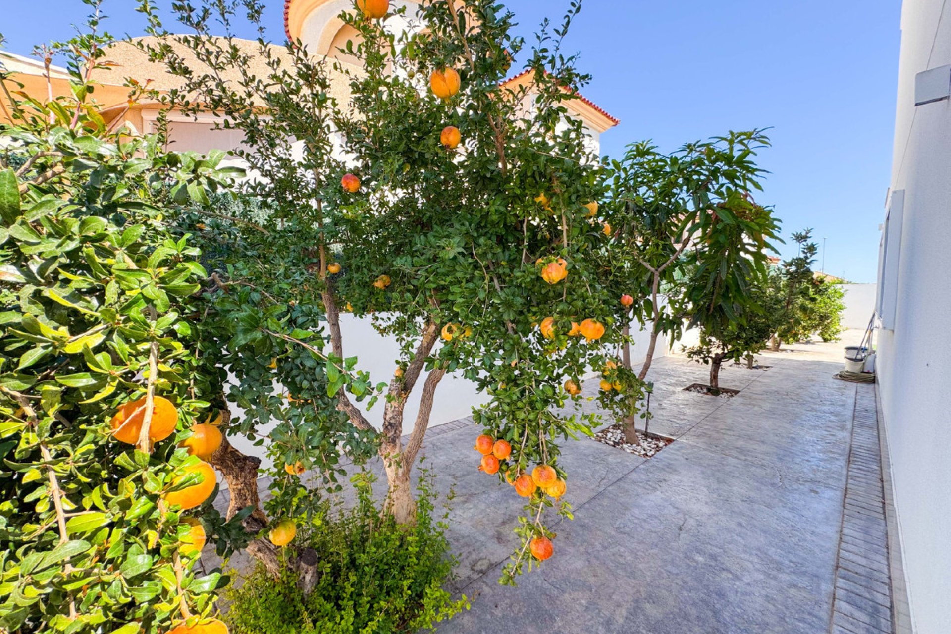 Resale - Villa -
San Fulgencio - San Fulgencio Centro