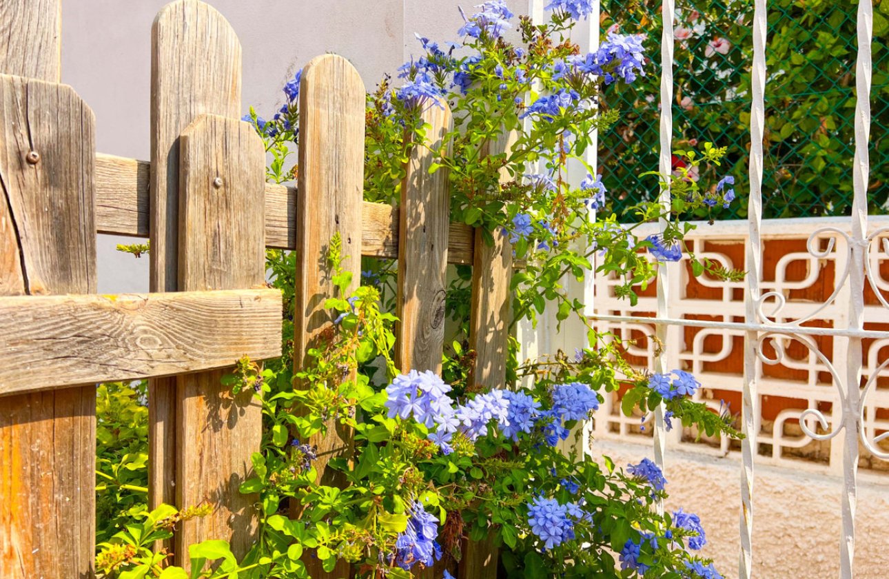 Resale - Villa -
Torrevieja - La Mata