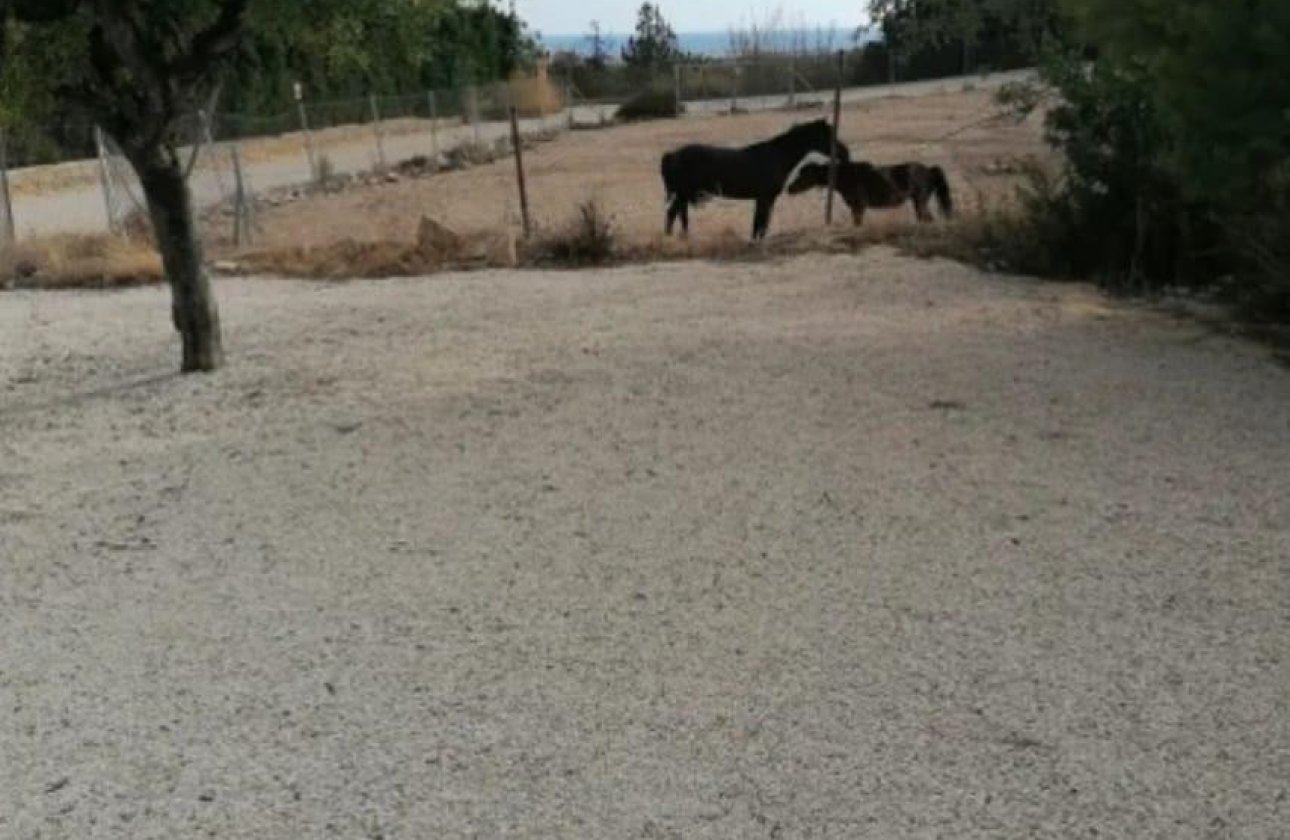 Resale - Villa -
Villajoyosa - Villajoyosa Centro