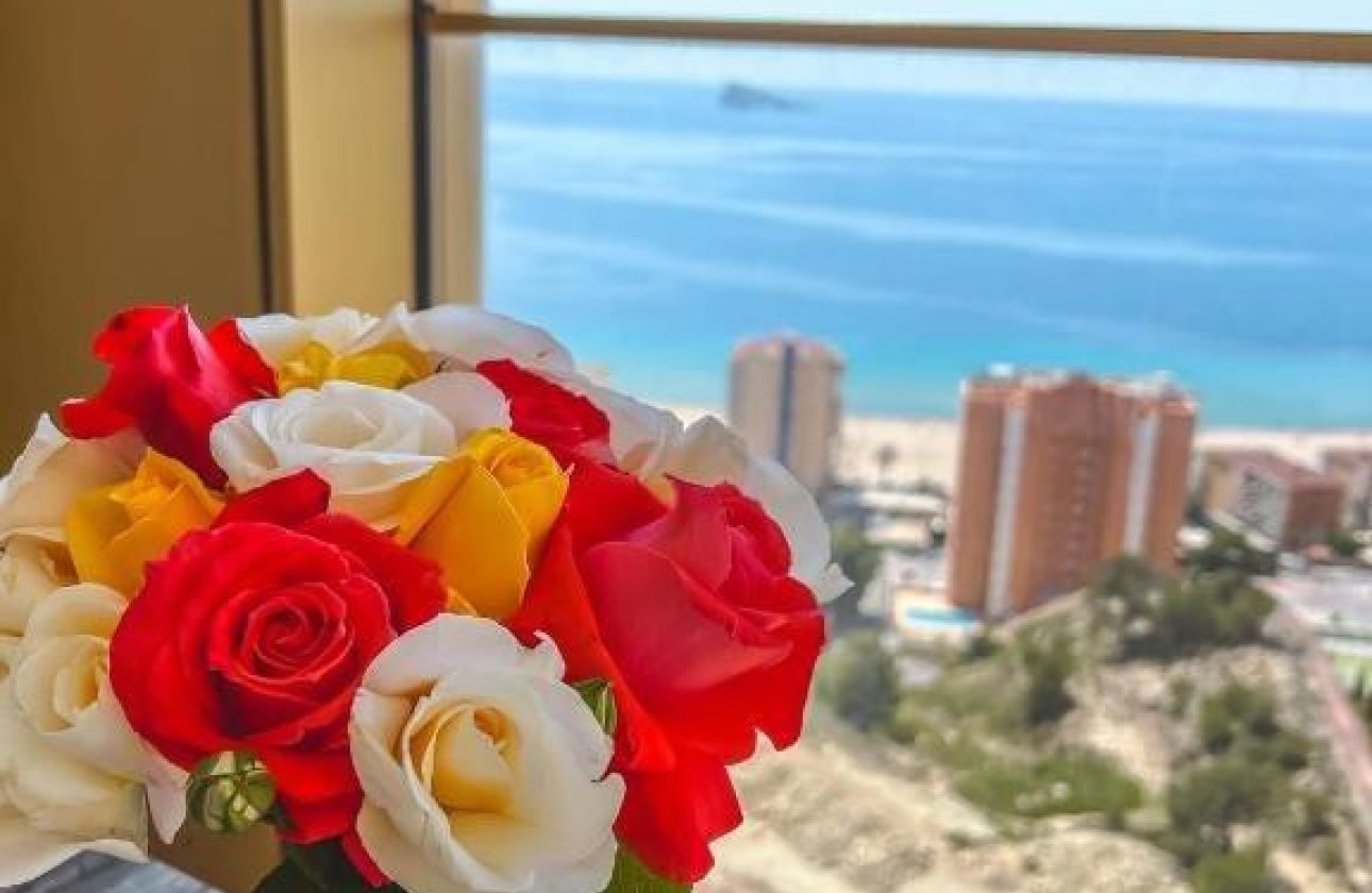 Reventa - Apartamento / piso -
Benidorm - Benidorm Centro