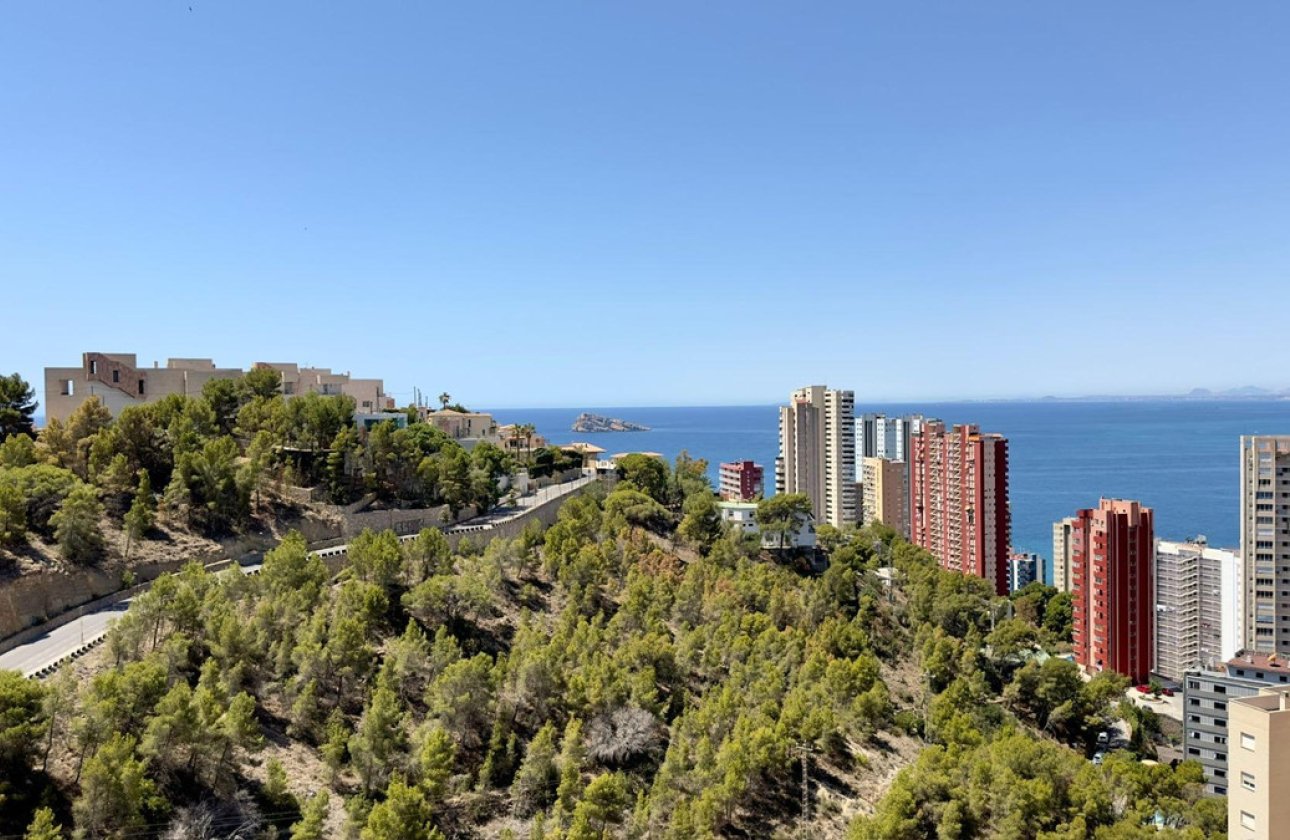 Reventa - Apartamento / piso -
Benidorm - Benidorm Centro