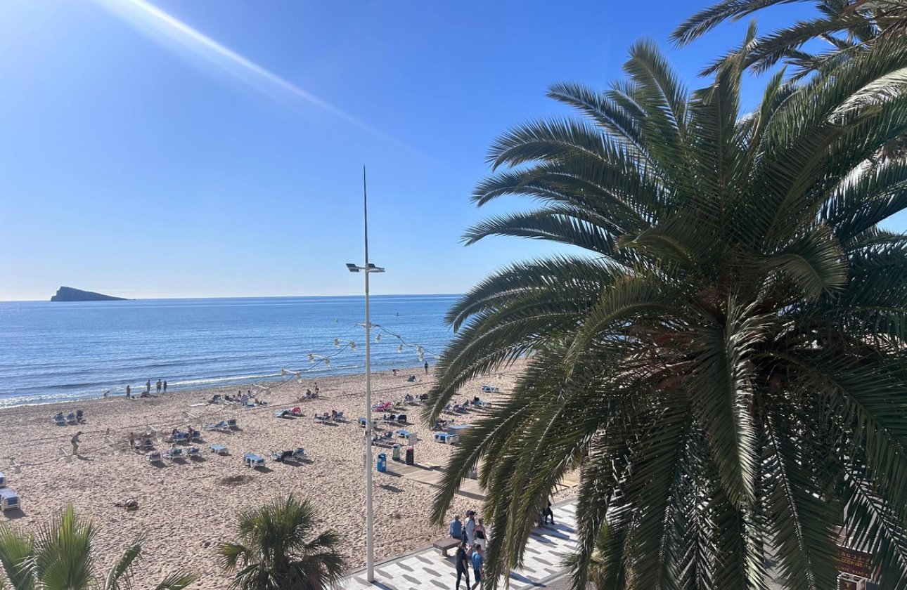 Reventa - Apartamento / piso -
Benidorm - Benidorm Centro