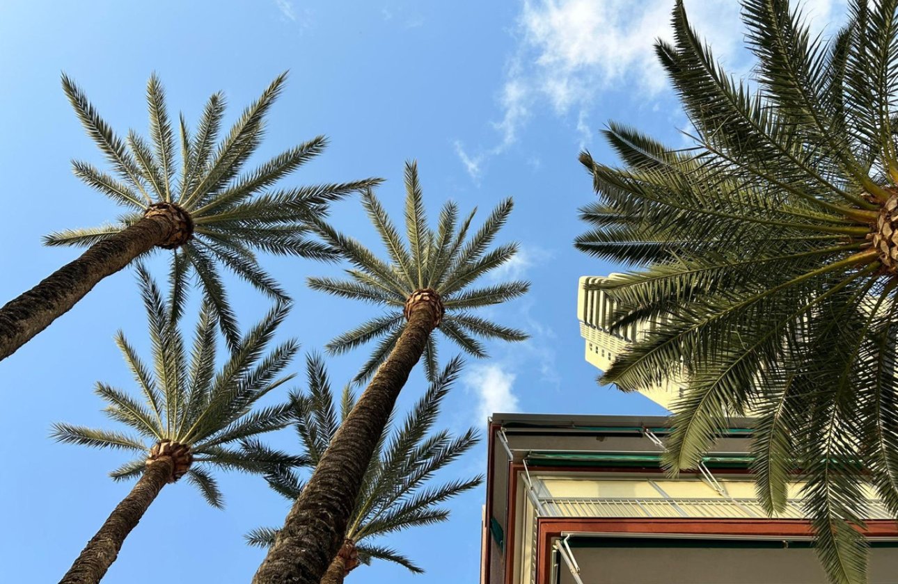 Reventa - Apartamento / piso -
Benidorm - Benidorm Centro