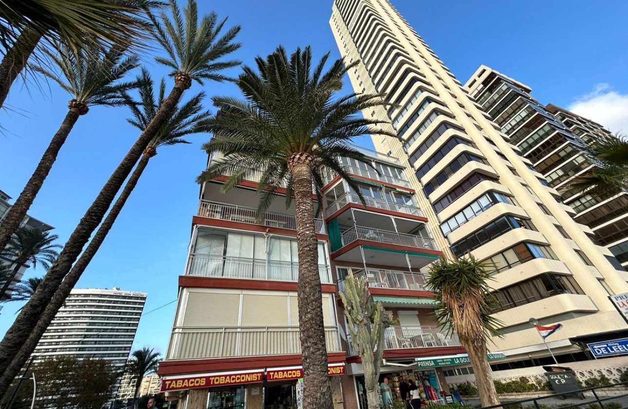 Reventa - Apartamento / piso -
Benidorm - Benidorm Centro