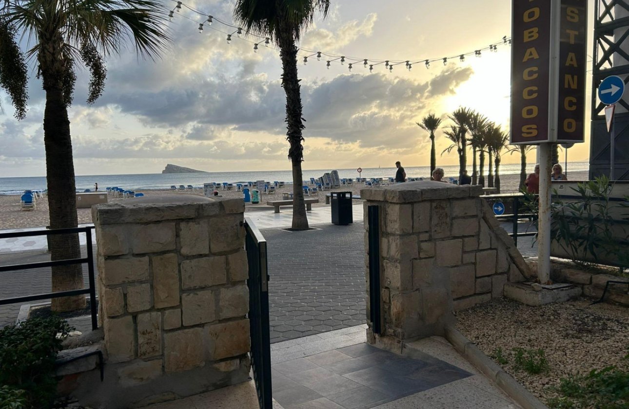 Reventa - Apartamento / piso -
Benidorm - Benidorm Centro