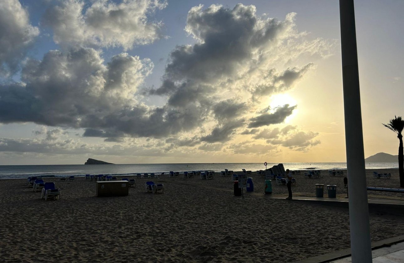 Reventa - Apartamento / piso -
Benidorm - Benidorm Centro