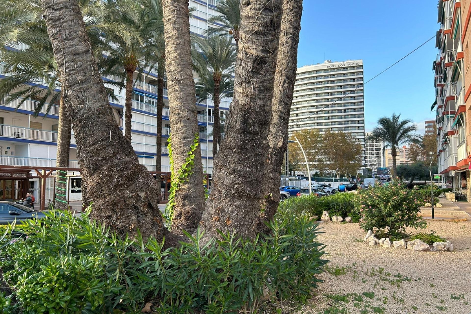 Reventa - Apartamento / piso -
Benidorm - Benidorm Centro