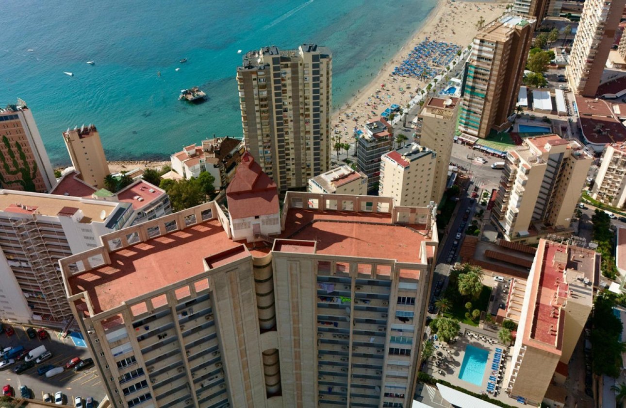 Reventa - Apartamento / piso -
Benidorm - Benidorm Centro