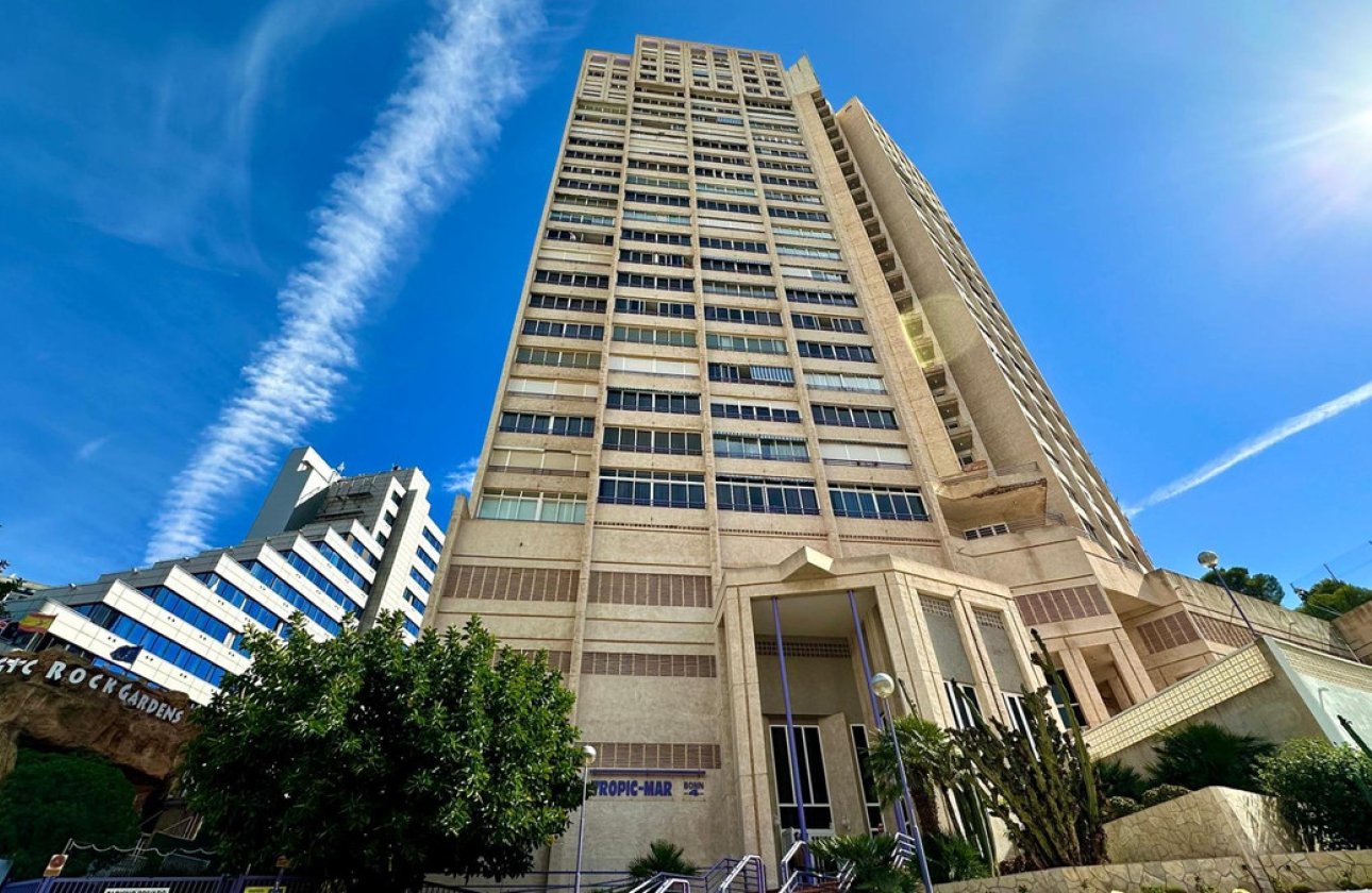 Reventa - Apartamento / piso -
Benidorm - Benidorm Centro