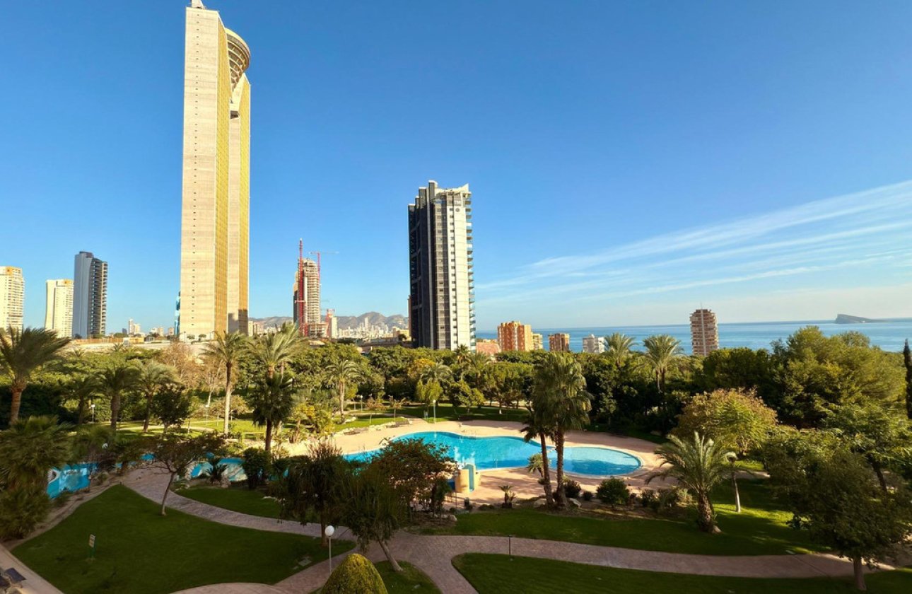 Reventa - Apartamento / piso -
Benidorm - Benidorm Centro