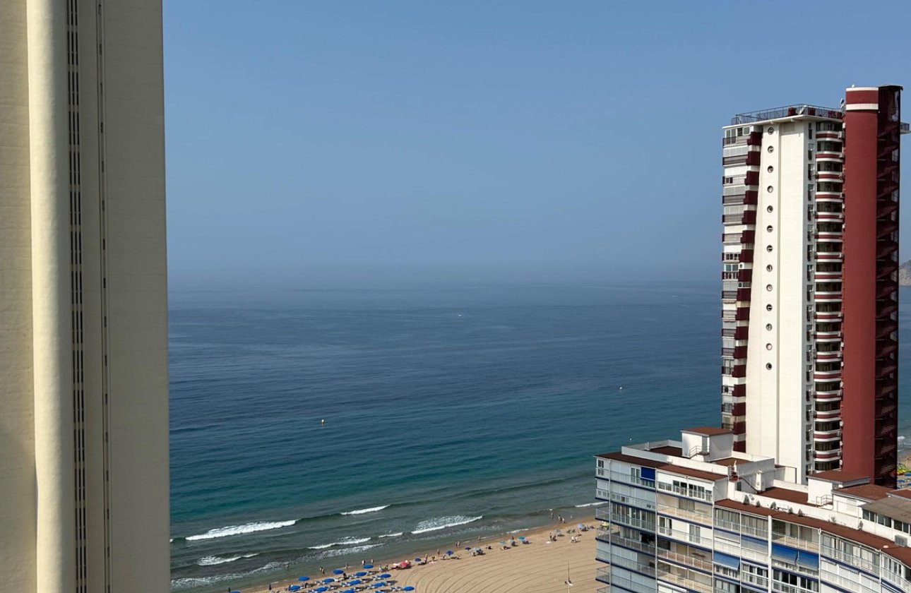 Reventa - Apartamento / piso -
Benidorm - Benidorm Centro