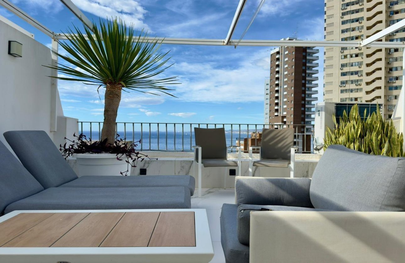 Reventa - Apartamento / piso -
Benidorm - Benidorm Centro