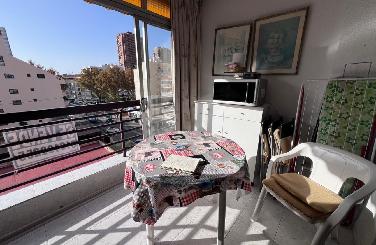 Reventa - Apartamento / piso -
Benidorm - Benidorm Centro