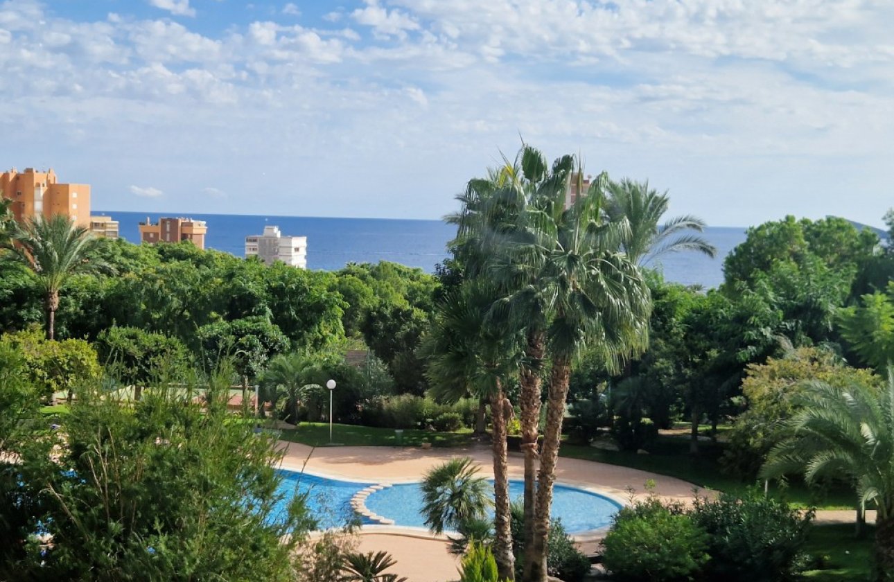 Reventa - Apartamento / piso -
Benidorm - Benidorm Centro