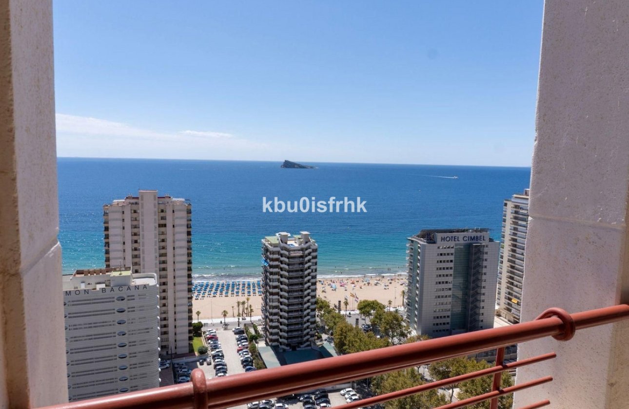 Reventa - Apartamento / piso -
Benidorm - Benidorm Centro
