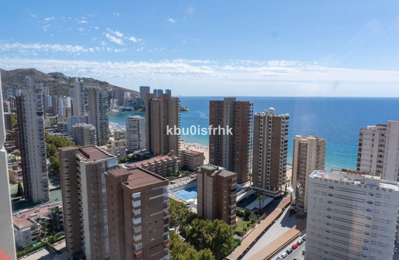 Reventa - Apartamento / piso -
Benidorm - Benidorm Centro