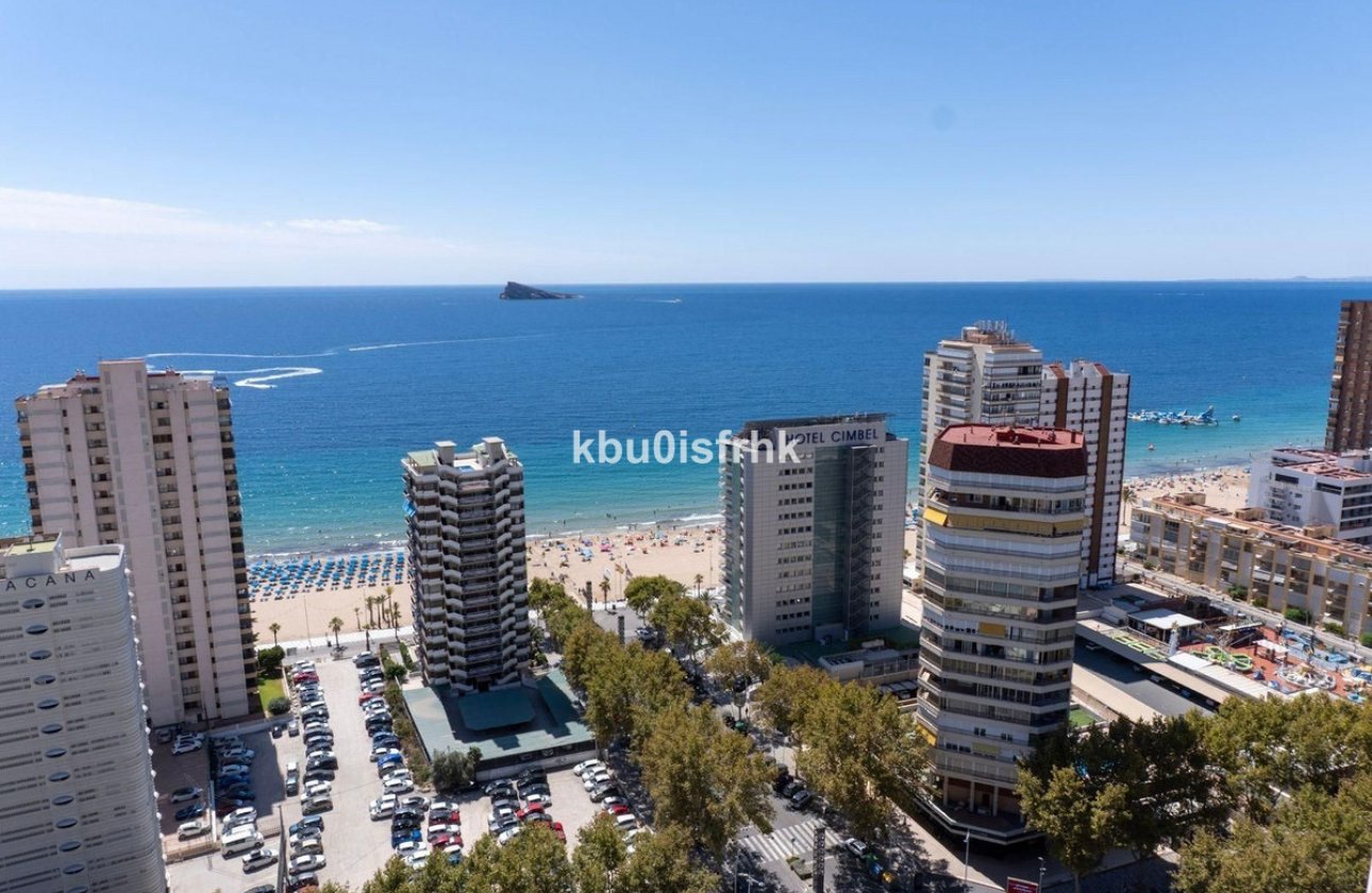 Reventa - Apartamento / piso -
Benidorm - Benidorm Centro