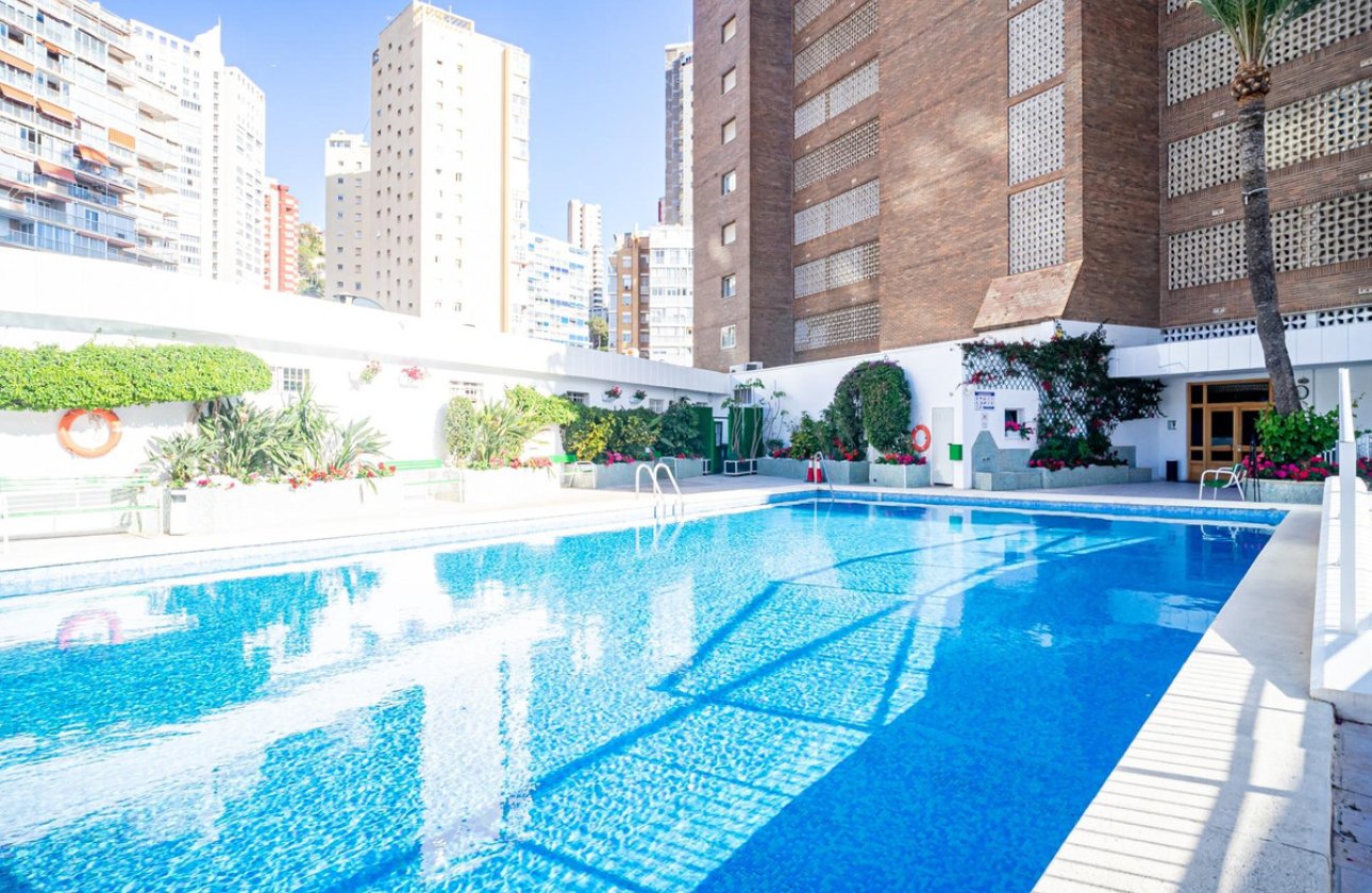 Reventa - Apartamento / piso -
Benidorm - Benidorm Centro