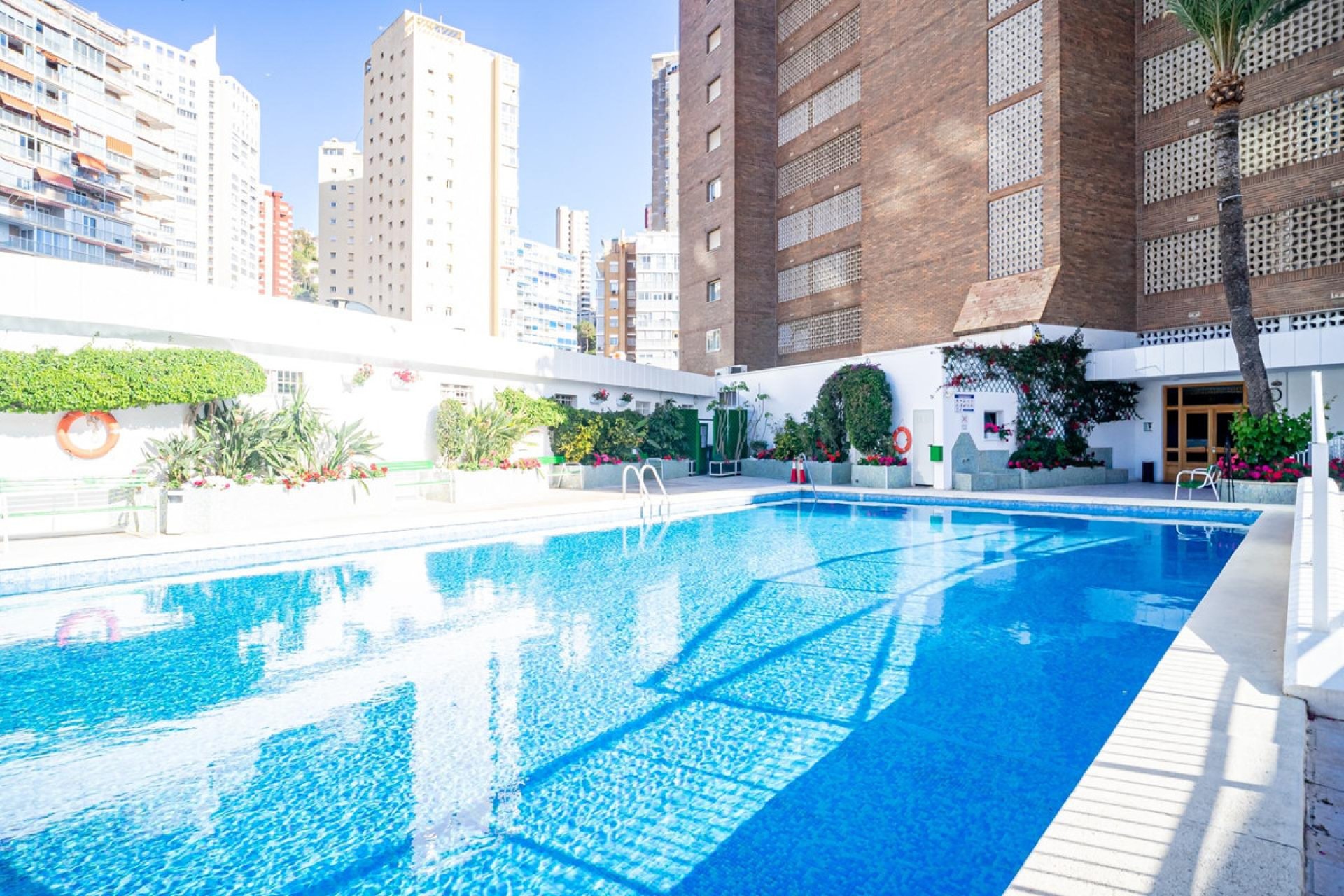 Reventa - Apartamento / piso -
Benidorm - Benidorm Centro