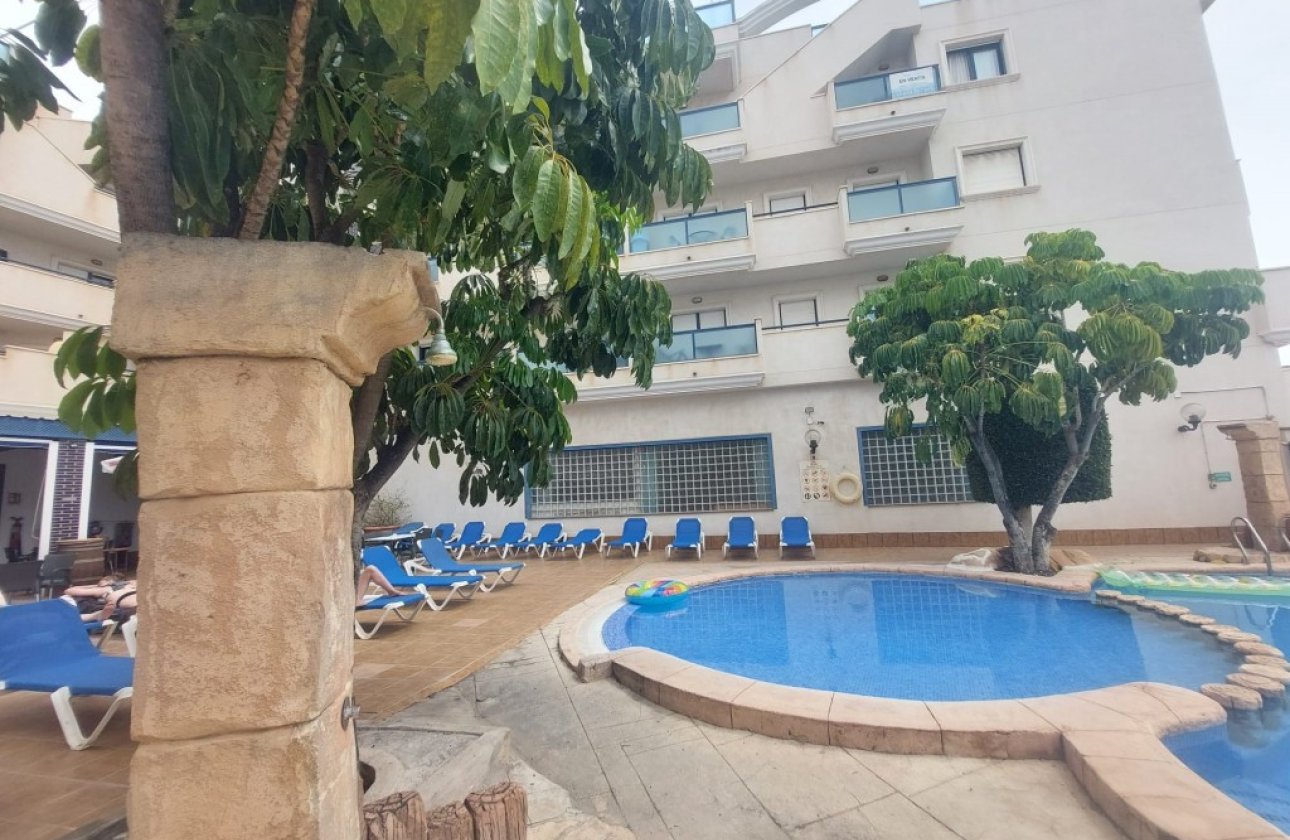 Reventa - Apartamento / piso -
Orihuela - Orihuela Centro