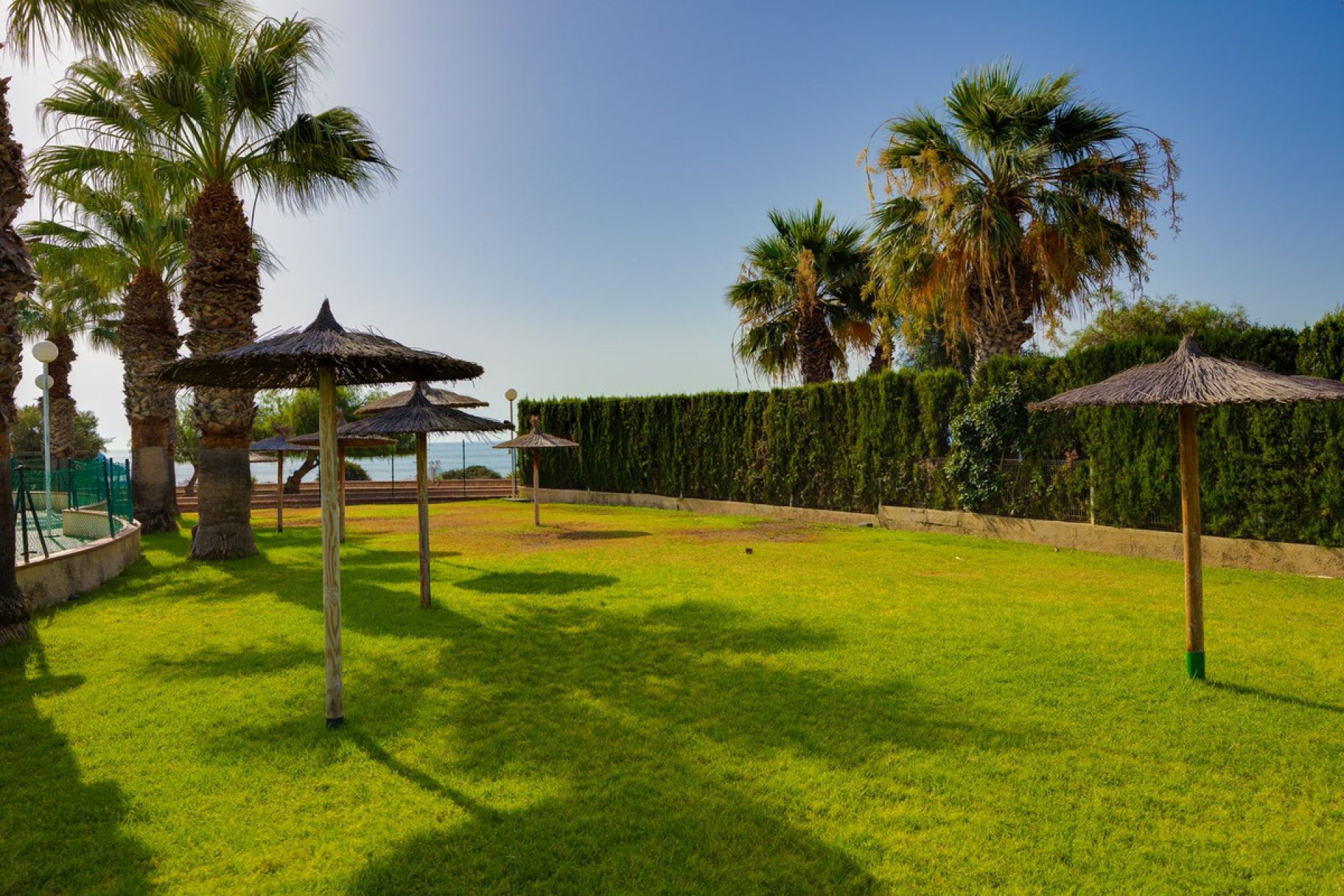 Reventa - Apartamento / piso -
Orihuela - Orihuela Costa